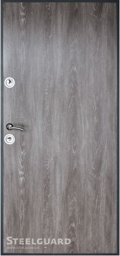 Вхідні двері Steel Guard  ANTIFROST 10 Termoskin Light ( NORD+) - 1