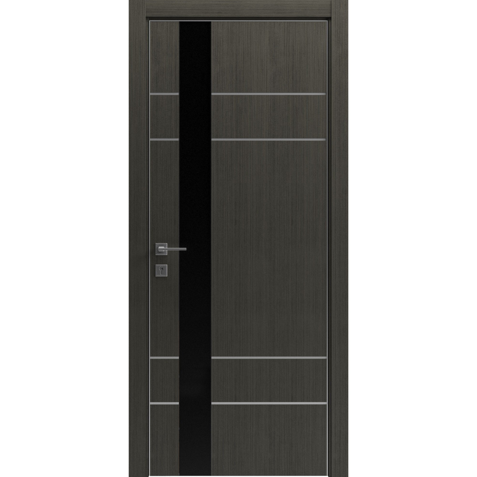 Двері міжкімнатні Rodos MODERN Flat 05 INSIDE - 2